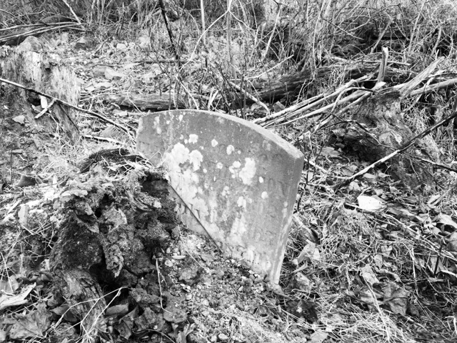 Boonsboro Reflections: Short Hill Cemetery